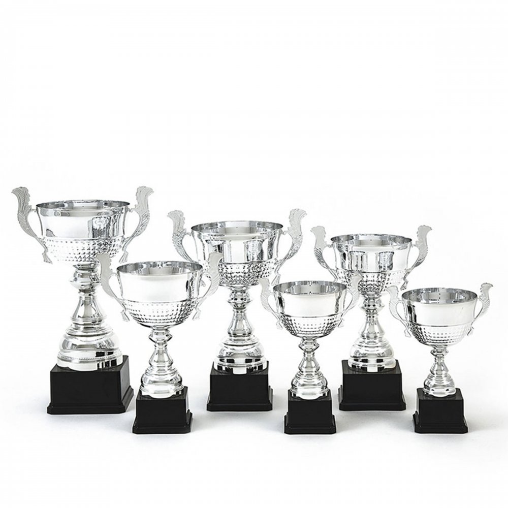 Prémium serleg ezüst