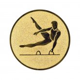             Torna (férfi) érembetét
        