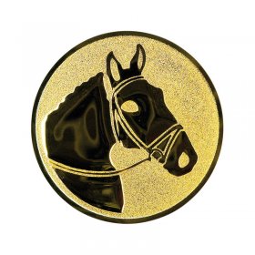 Lovaglás (ló) érembetét