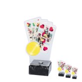             Magyar kártya akril díj
        