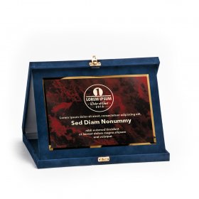 Kék plüss plakett kombináció