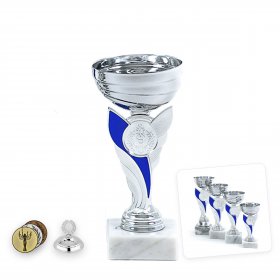 Gazdaságos serleg ezüst