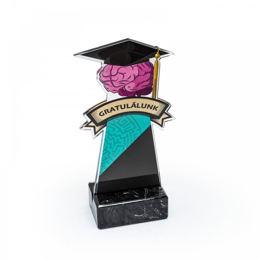 Tanuló agy akril díj