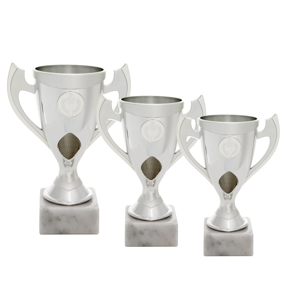 Gazdaságos serleg 71 ezüst