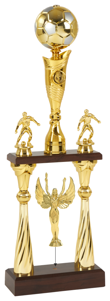 Labdarúgó serleg arany