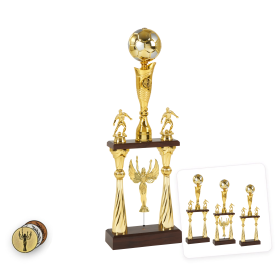 Labdarúgó serleg arany