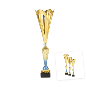 Középkategóriás serleg arany